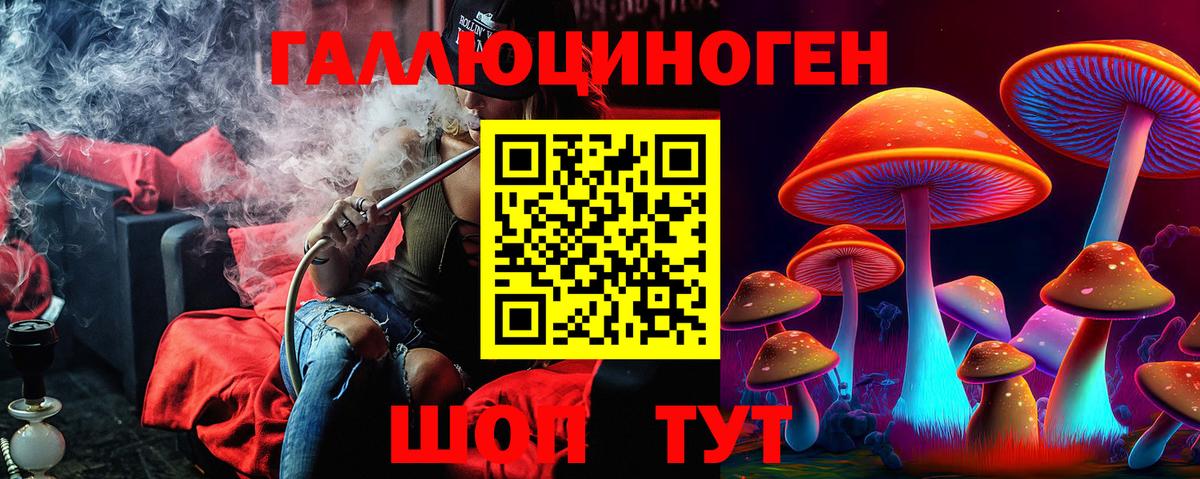 Псилоцибиновые грибы Cubensis  Вход с VPN  Сланцы 